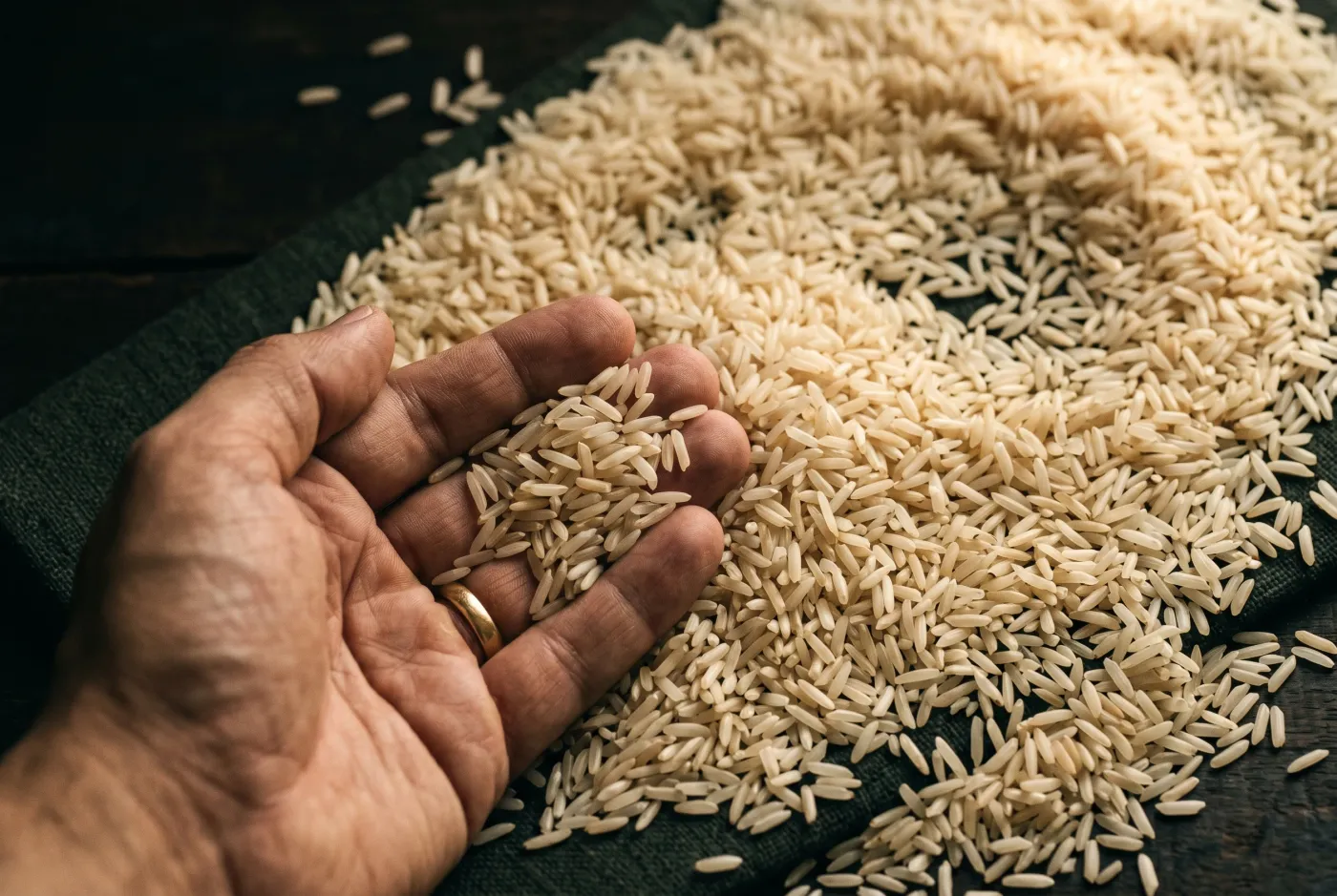 Khaas Super Basmati — a macro bed of the grain